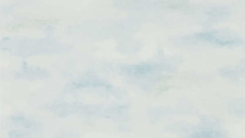 Bamburgh Sky 216516